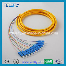 Sc 12 Core Duplex Fiber Optic Jumper, Jumper Kabel